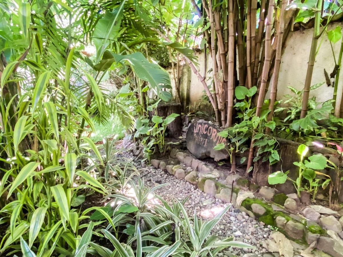 Unicorn Reborn - Peaceful Rentals San Marcos La Laguna Ngoại thất bức ảnh