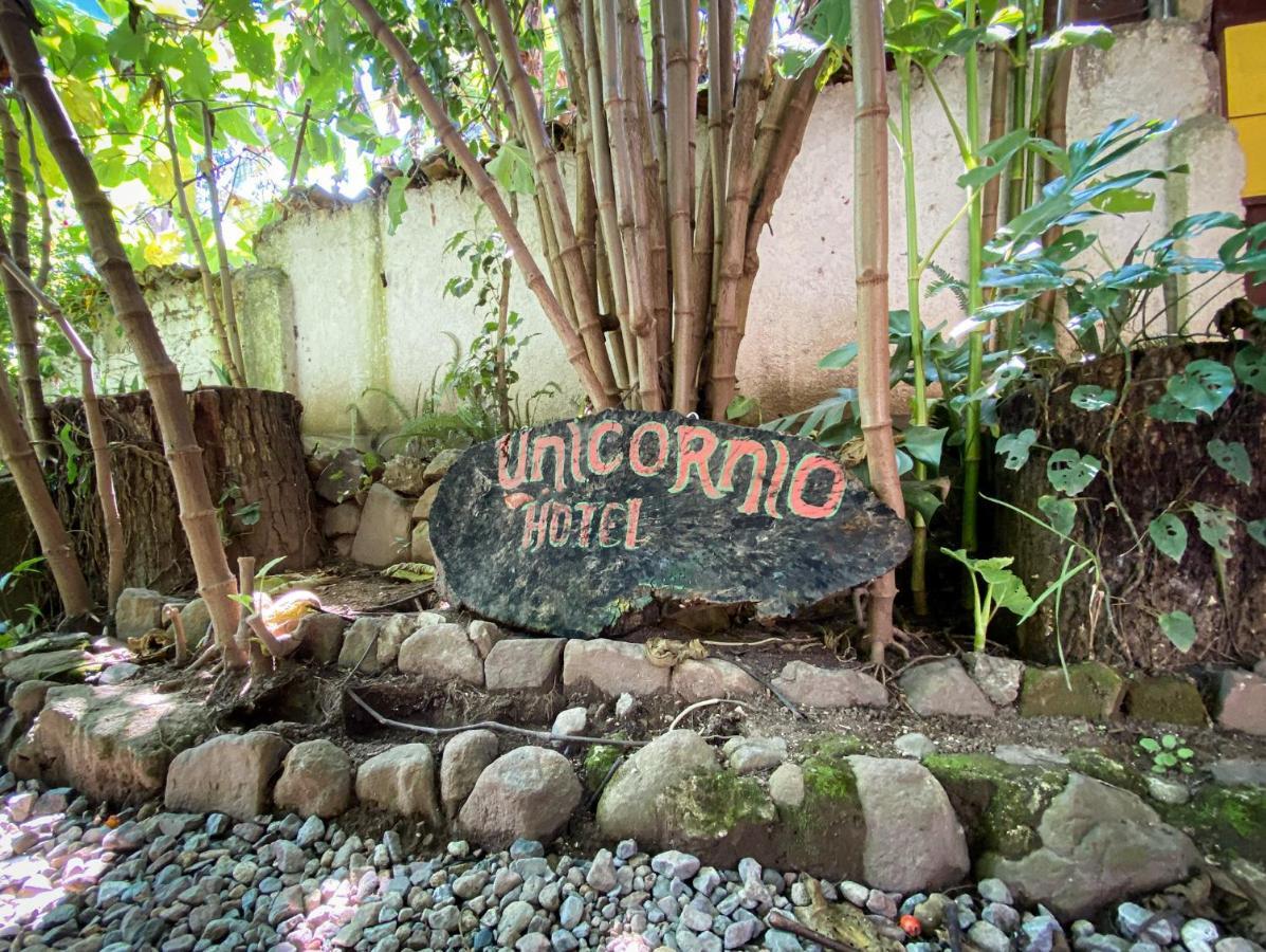 Unicorn Reborn - Peaceful Rentals San Marcos La Laguna Ngoại thất bức ảnh