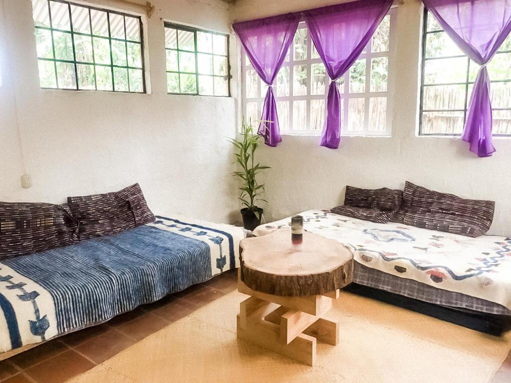 Unicorn Reborn - Peaceful Rentals San Marcos La Laguna Ngoại thất bức ảnh